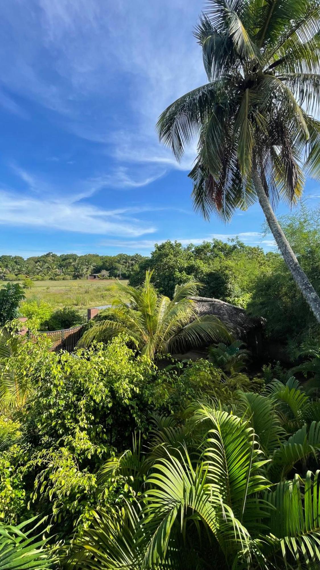 The Lookout Lodge Tangalle Exteriör bild