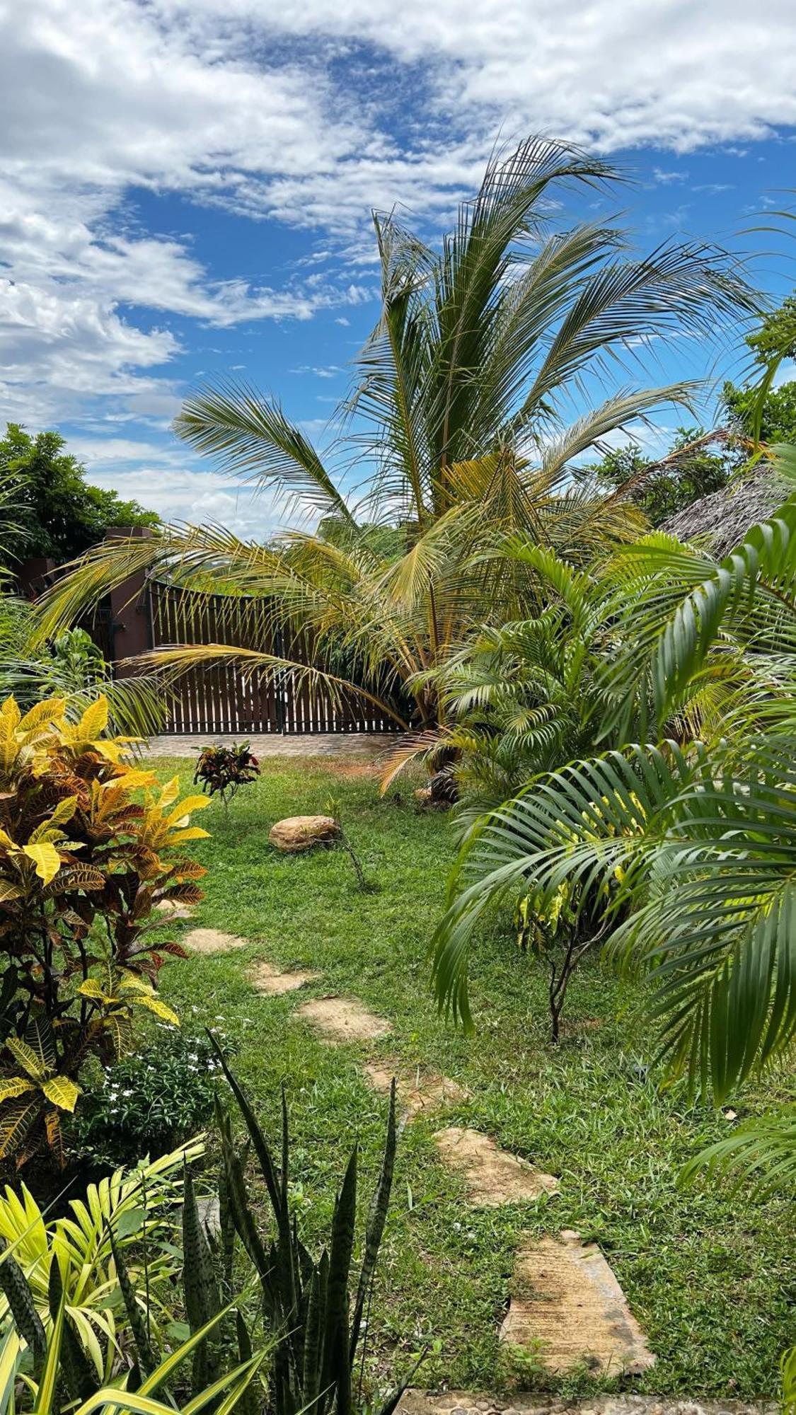 The Lookout Lodge Tangalle Exteriör bild
